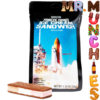 Astronaut Freeze Dried Ice Cream Sandwich Neapolitan