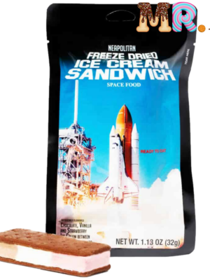 Astronaut Freeze Dried Ice Cream Sandwich Neapolitan