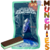 Astronaut Freeze Dried Ice Cream Sandwich Mint Chocolate Chip