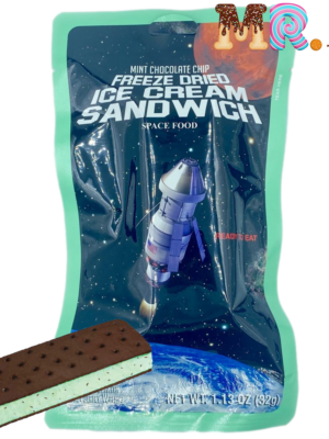 Astronaut Freeze Dried Ice Cream Sandwich Mint Chocolate Chip