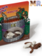 Chocolate Dipped Insects